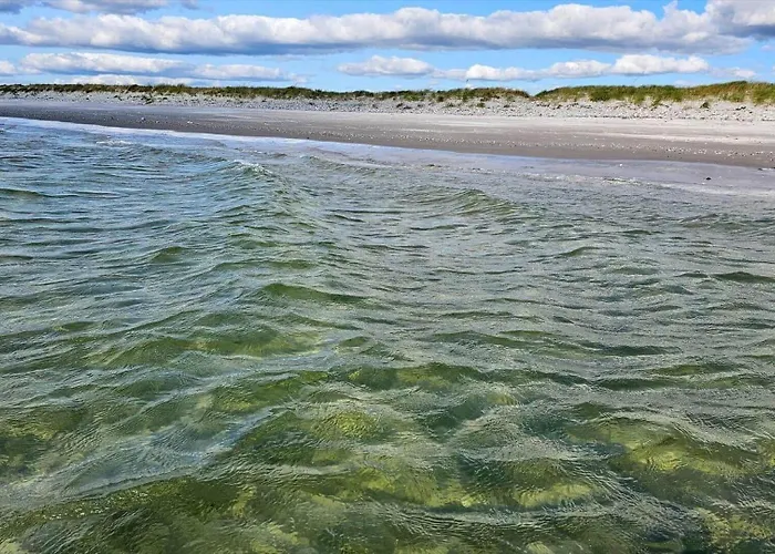 8404-ebeltoft-begoniavej-18